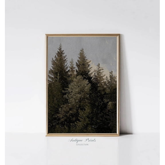 Rustic Forest, Mountain Landscape Wall Art, Vintage Pine Tree Print, Forest Print, 539 UNFRAMED Poster, 8x12