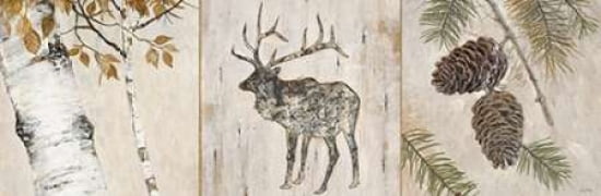 Rustic Forest Panel Canvas Art - Arnie Fisk (8 x 24)