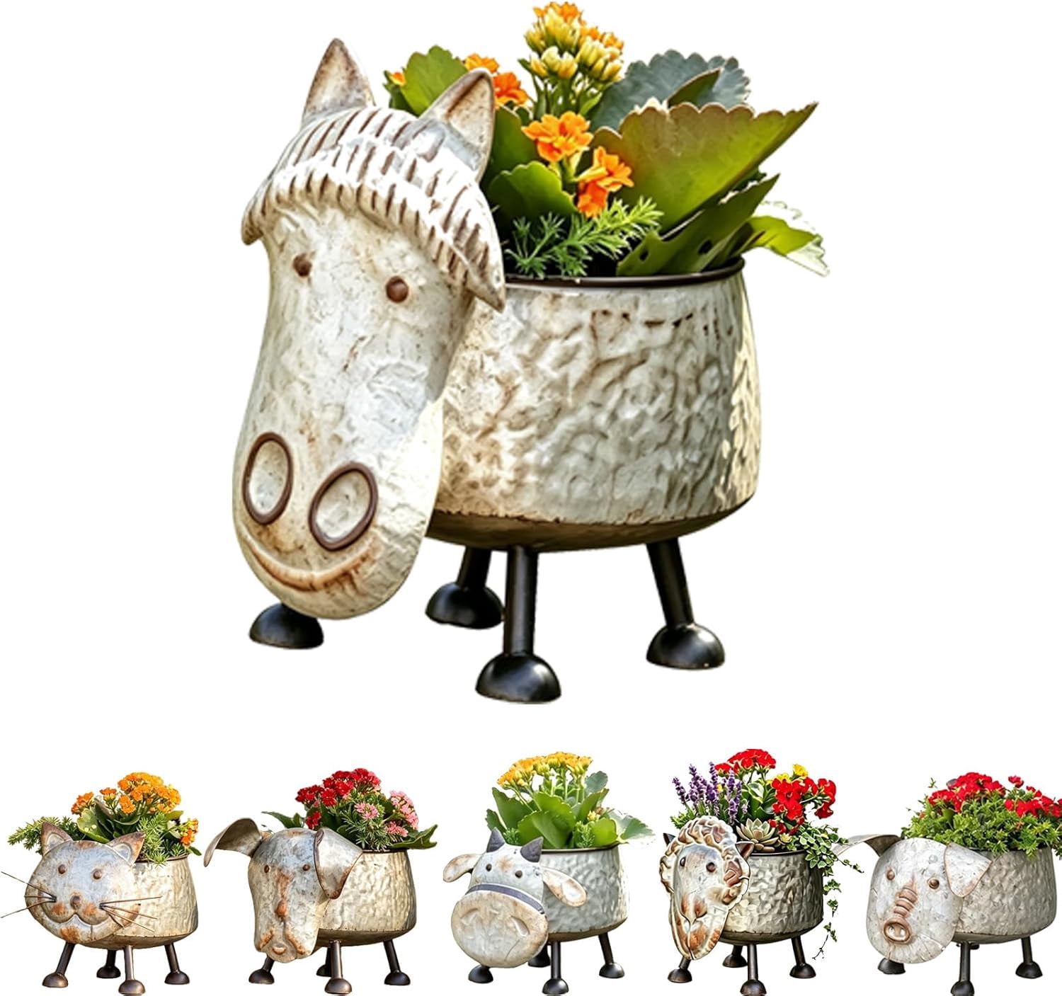 potting mix strawberries Organic Strawberry Windowsill Grow Kit 🍓 – Back to the Roots main image 1