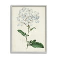 thumbnail image 1 of Rustic Garden Floral Study Charming White Blossoms 11 in x 14 in Framed Painting Art Print, by Stupell Home Décor, 1 of 7