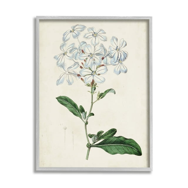 Rustic Garden Floral Study Charming White Blossoms 11 in x 14 in Framed Painting Art Print, by Stupell Home Décor