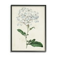 thumbnail image 1 of Rustic Garden Floral Study Charming White Blossoms 16 in x 20 in Framed Painting Art Print, by Stupell Home Décor, 1 of 4