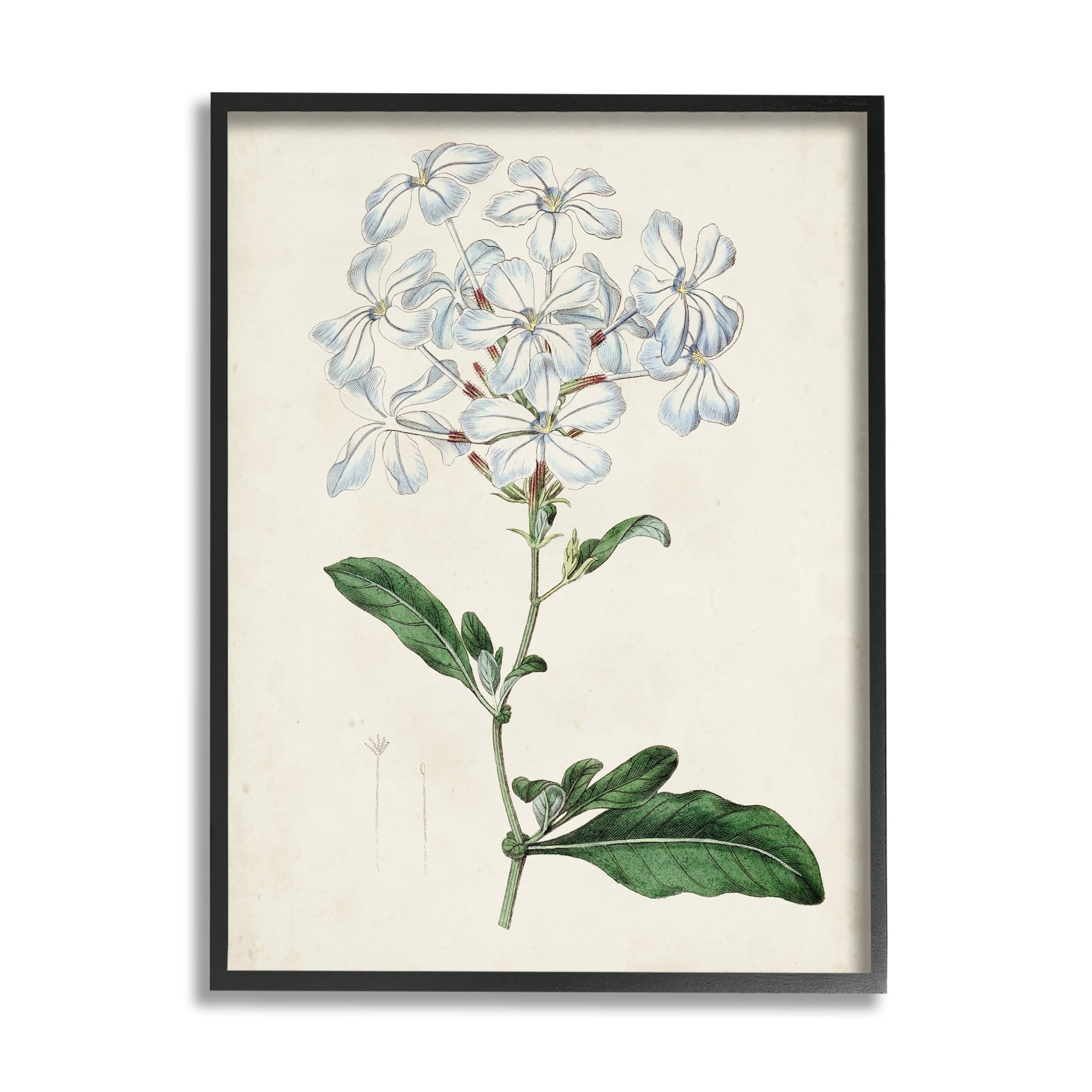 Rustic Garden Floral Study Charming White Blossoms 24 in x 30 in Framed Painting Art Print, by Stupell Home Décor
