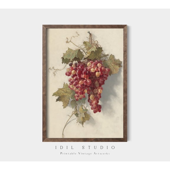 Rustic Grapes Botanical Kitchen Print, Unframed Paper Poster 8x10in