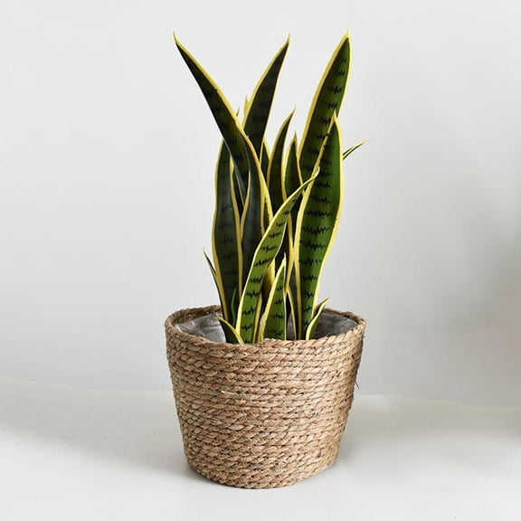 Rustic Handcrafted Straw Natural Seagrass Plant Basket Flower Pot Holder Storage Lining Planter Pots Container Flowerpot indoor and outdoor - 22x15x14CM Medium