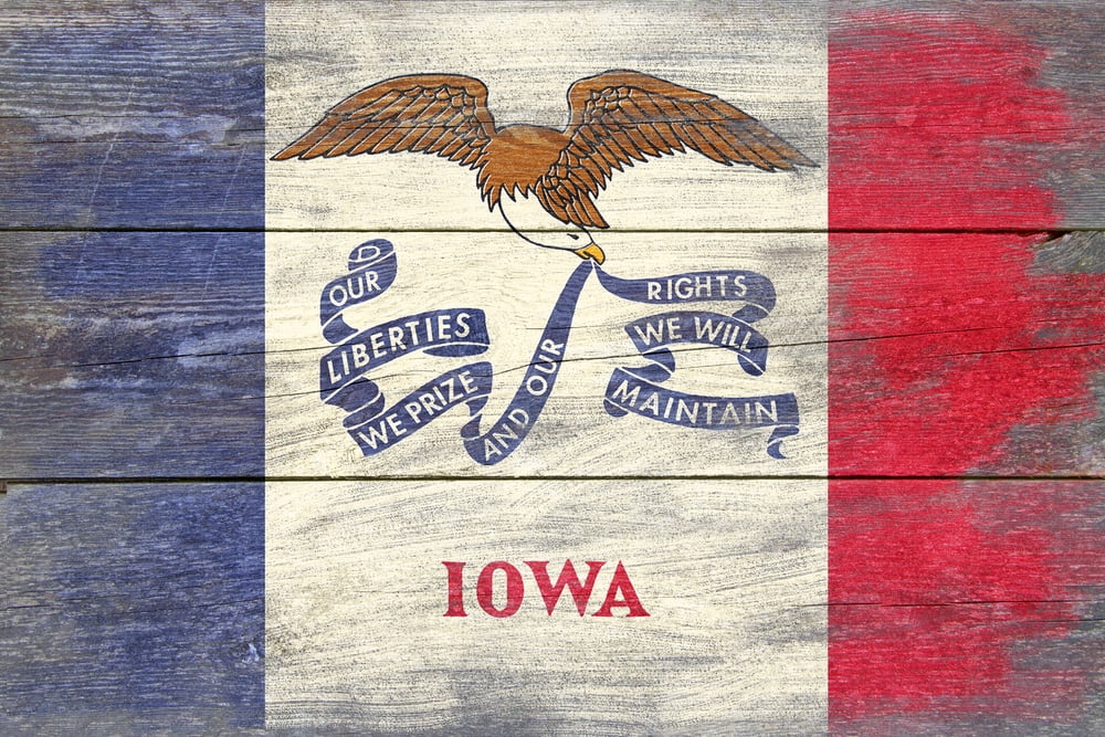 Rustic Iowa State Flag (24x36 Giclee Gallery Art Print, Vivid Textured ...