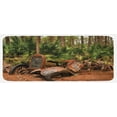 thumbnail image 1 of Rustic Kitchen Mat, Rusty Broken down Tractor Mule Truck Deep in Forest with Tropical Palm Trees Image, Plush Decorative Kitchen Mat with Non Slip Backing, 47" X 19", Brown Green, by Ambesonne, 1 of 1