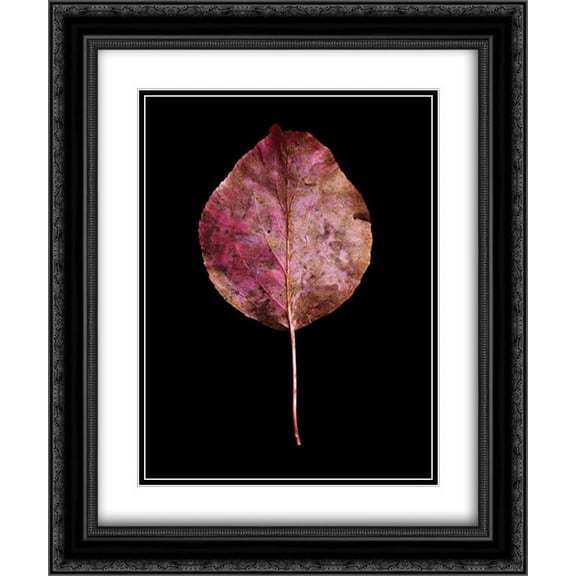 Rustic Leaf 2 2x Matted 20x24 Black Ornate Framed Art Print by Bookbinder, David