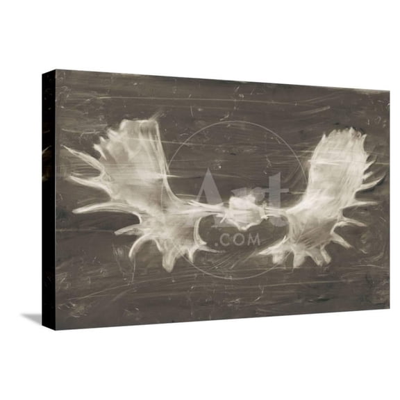 Rustic Moose Mount II, Animals Stretched Canvas Wall Art by Ethan Harper Sold by Art.Com