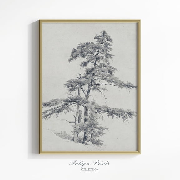 Rustic Neutral Tree Sketch, Vintage Pine Tree Drawing, Woodland Print, Art, Neutral Forest Sketch Art, Farmhouse Decor Unframed Paper Print