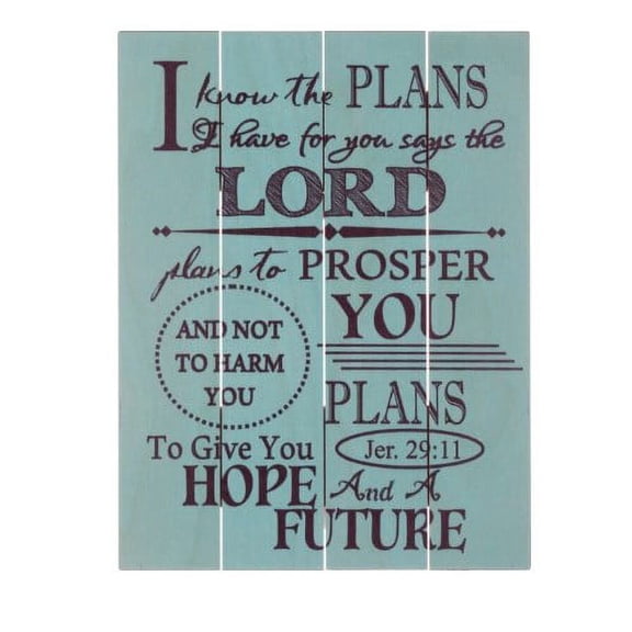 Beechdale Frames 181111 Rustic Pallet Art - I Know The Plans - 9 x 12 in.