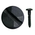 thumbnail image 1 of Rustic Pyramid Head Slotted Wood Screws - 1" x #8, 1 of 1