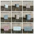 thumbnail image 1 of Rustic Reach Multi-Shape Multi-Color Cement Plant Pot with Drainage Hole, 1 of 5