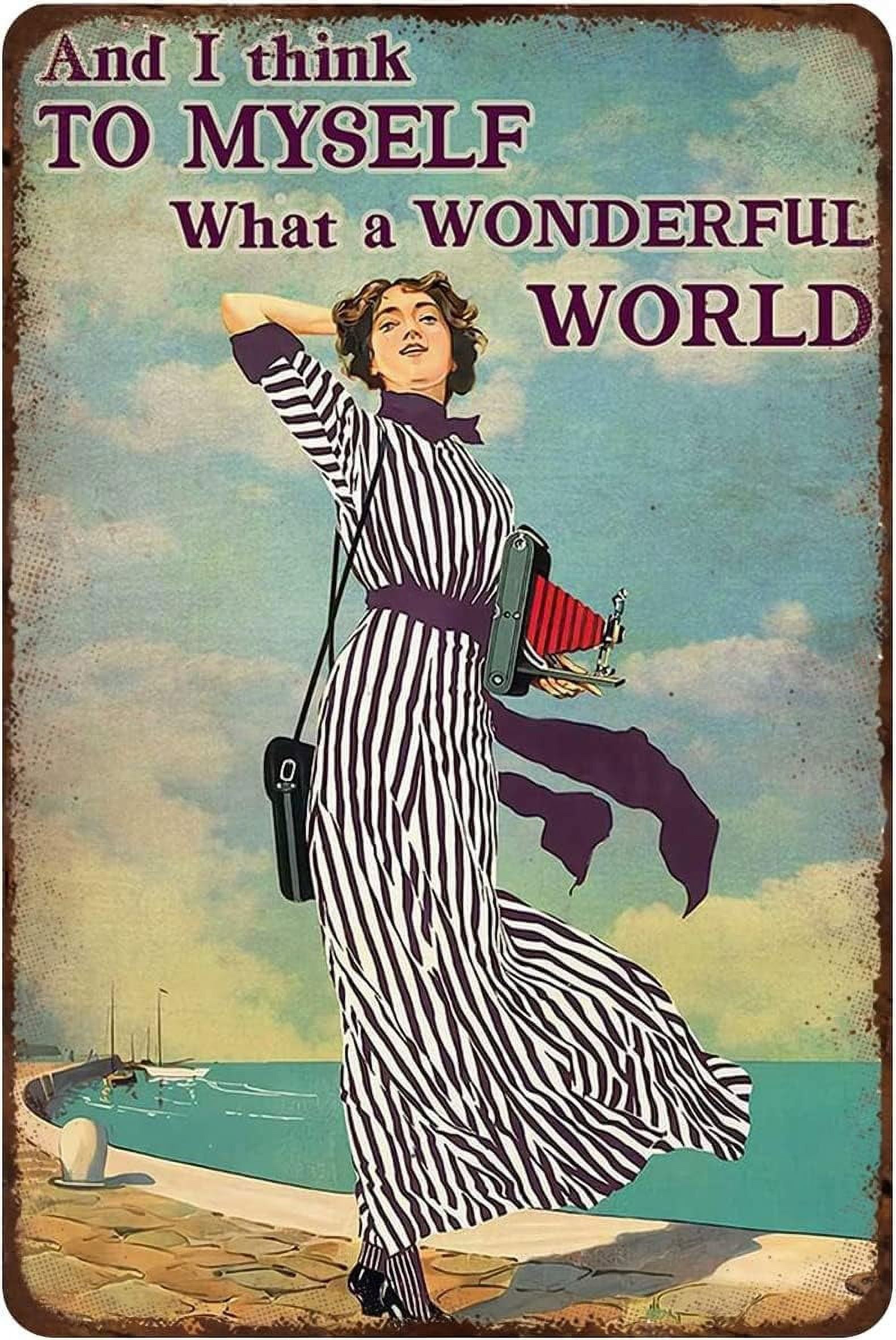 Rustic Retro Metal Tin Sign and I Think to Myself What A Wonderful