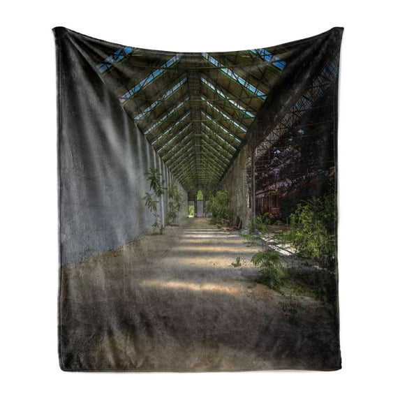 Rustic Soft Flannel Fleece Throw Blanket, Industrial Interior Greenhouse Agriculture and Plants Nature in Urban Areas Print, Cozy Plush for Indoor and Outdoor Use, 50" x 70", Grey Green, by Ambesonne