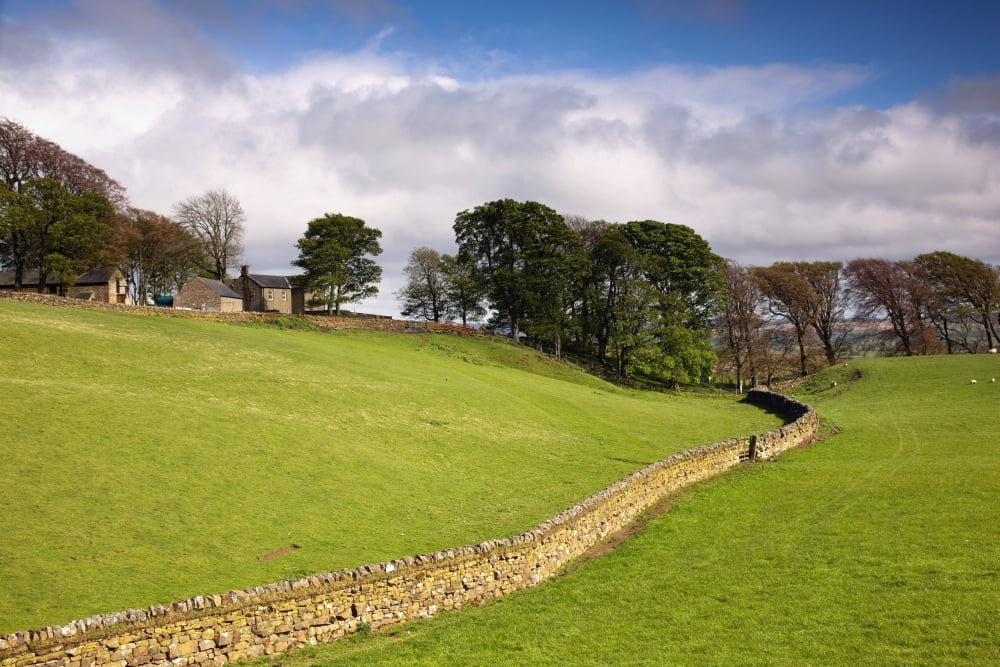 Rustic Stone Fence Northumberland England Canvas Art - John Short Design Pics (19 x 12)