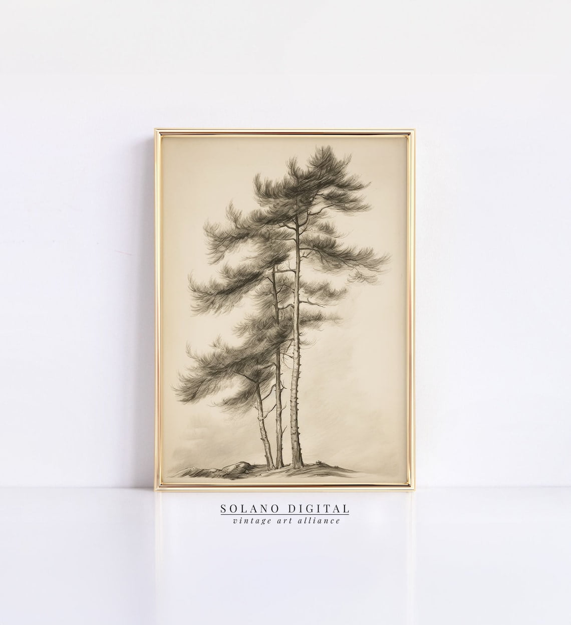 Rustic Tree Sketch, Vintage Pine Tree Drawing Print, Solano, 39 Wall Art,  Modern Wall Decor, 24x36 UNFRAMED - Walmart.com