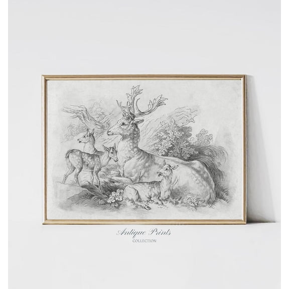 Rustic Vintage Deer Sketch, Neutral Mountain Wall Art, Deer Drawing, Antique Farmhouse Decor, Nursery Woodland Print Poster, Unframed Poster Size 8x12