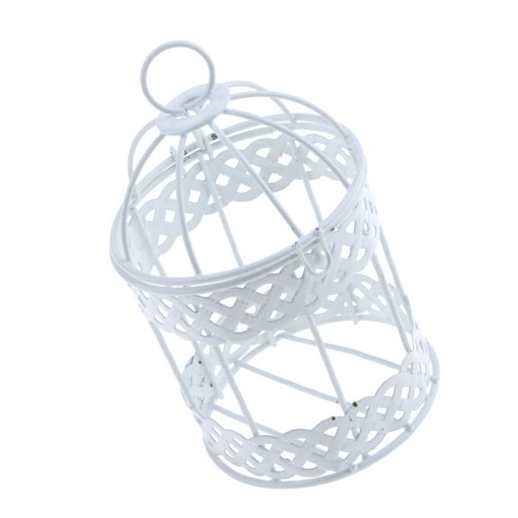 Rustic Wall Hanging Wire Planters Basket Metal Vases, for indoor e outdoor Garden Plants, Succulents, , Strawberry,