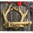 thumbnail image 1 of Rustic Western 8 Point Buck Deer Antlers Toilet Paper Holder Bathroom Wall Decor, 1 of 9