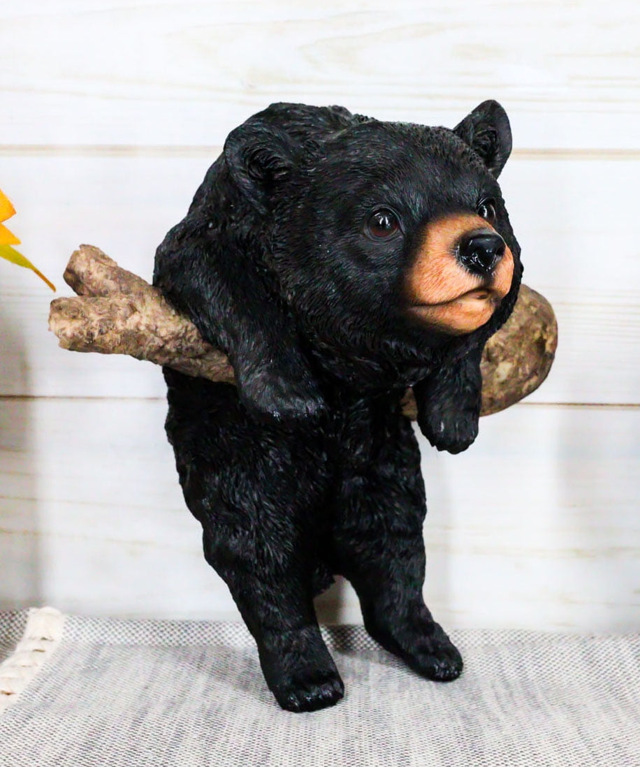 Rustic Western Forest Black Bear Cub Frolic Dangling On Tree Branch ...