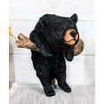 thumbnail image 1 of Rustic Western Forest Black Bear Cub Frolic Dangling On Tree Branch Wall Decor, 1 of 6