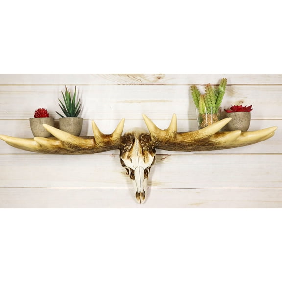 Rustic Western Moose Elk Skull With Point Hook Antlers Wall Floating Shelf 22"L
