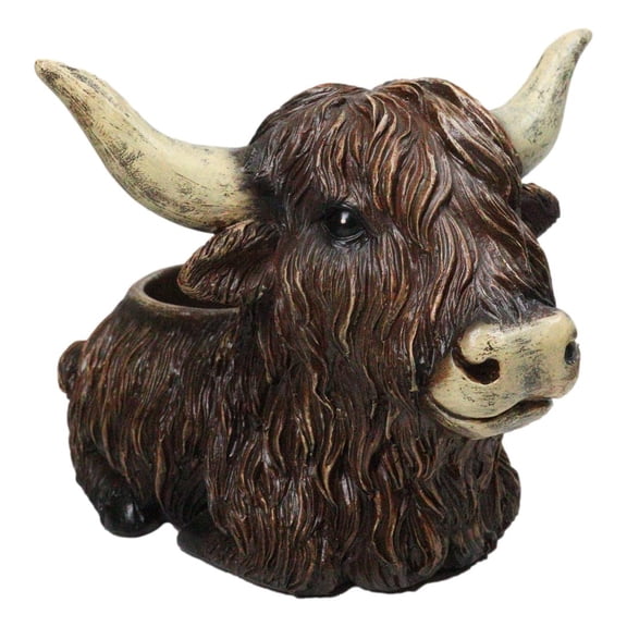 Rustic Western Scottish Highlands Cattle Cow Wine Holder Container Pot Holder 9"