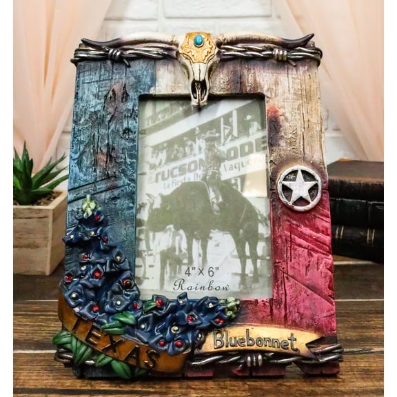 Rustic Western Star Texas Flag Longhorn Skull Bluebonnet 4X6 Picture Photo Frame