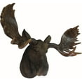Rustic Wildlife The Baron North American Bull Elk Deer Taxidermy