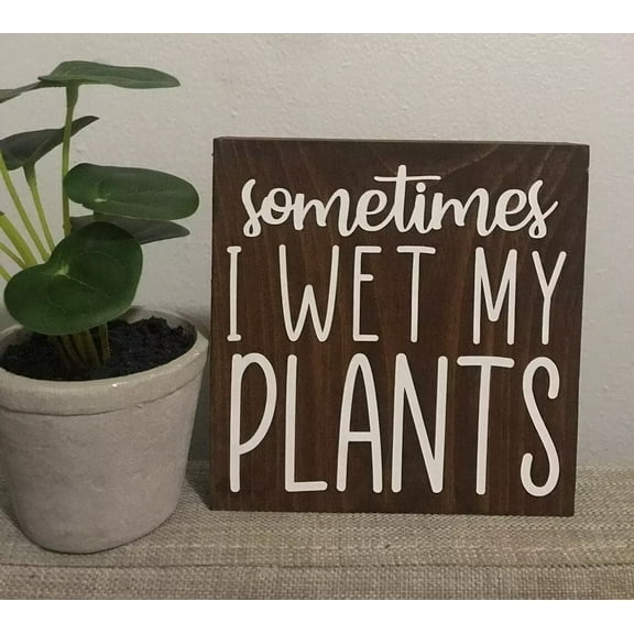 Rustic Wooden Signs/Collect Moments Not Things | Wood Sign | Wanderlust | Home Decor | Mountain Arrow | Wall Hanging | Travel | Home Decor Wooden Signs,8x12 INCH-Funny Gifts for Men and Women