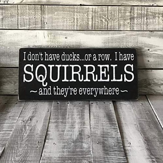Rustic Wooden Signs I Don't Have Ducks or a Row I Have Squirrels and They are Everywhere Rustic Reclaimed Wood Sign Wall Art Decor Kitchen Cafe Pub Decor Gift 8x12 INCH
