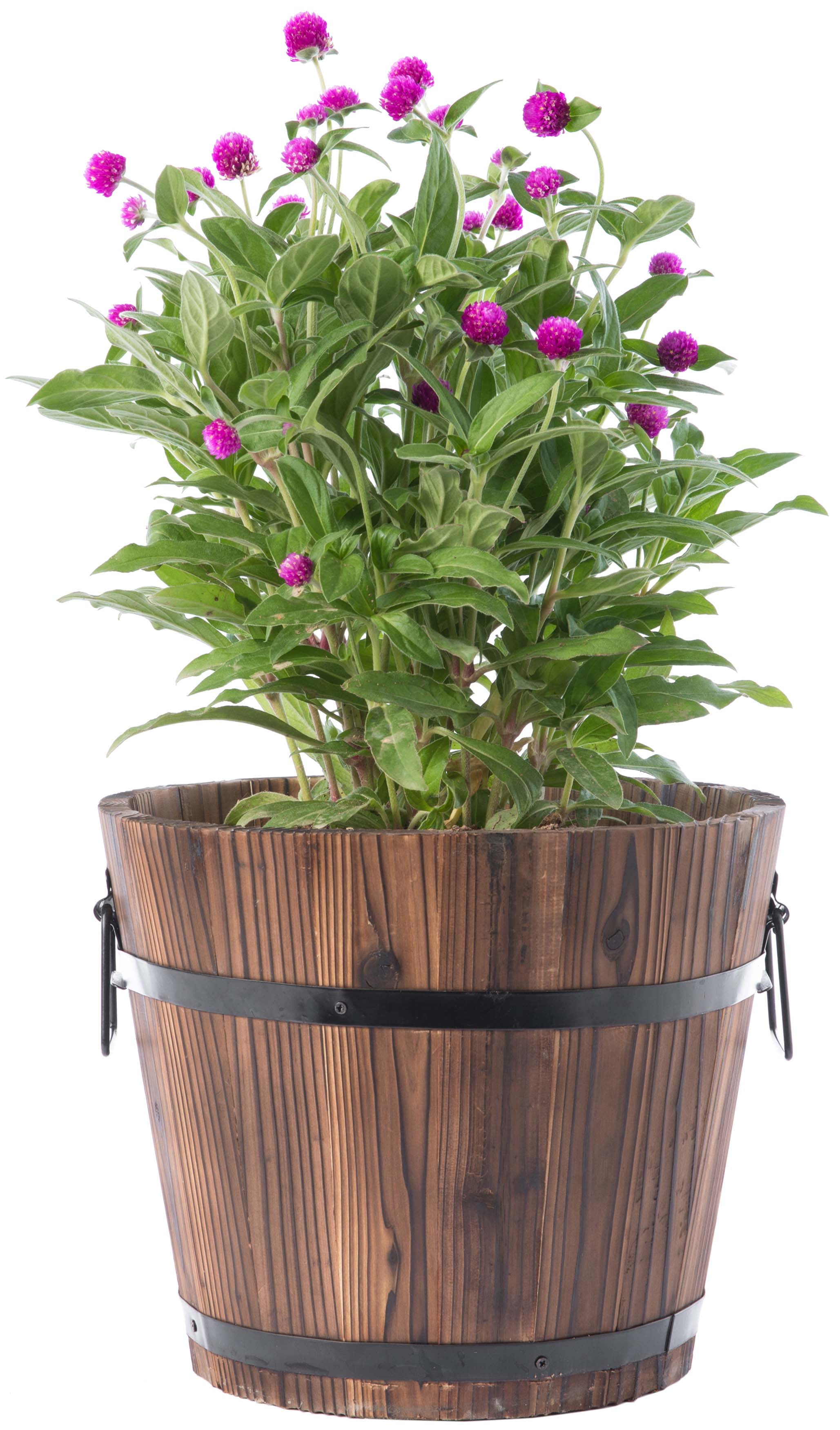 Small Wooden Whiskey Barrel Planter, 12" Dia 10" High