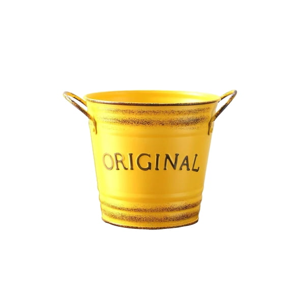Rustics Metal Bucket, Vintage Plant Buckets with Side Handles, Durableflower Pot for Garden Patio Farmhouse Centerpiece Decor, 5.1x4.7in