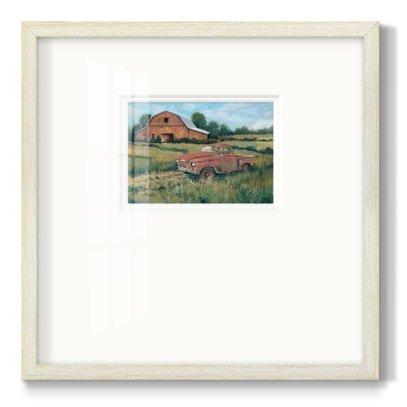 Rusting Away IPremium Framed Print