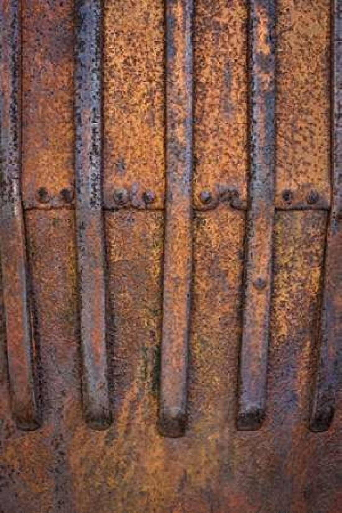 Rusty Metal V Canvas Art - Kathy Mahan (12 x 18)
