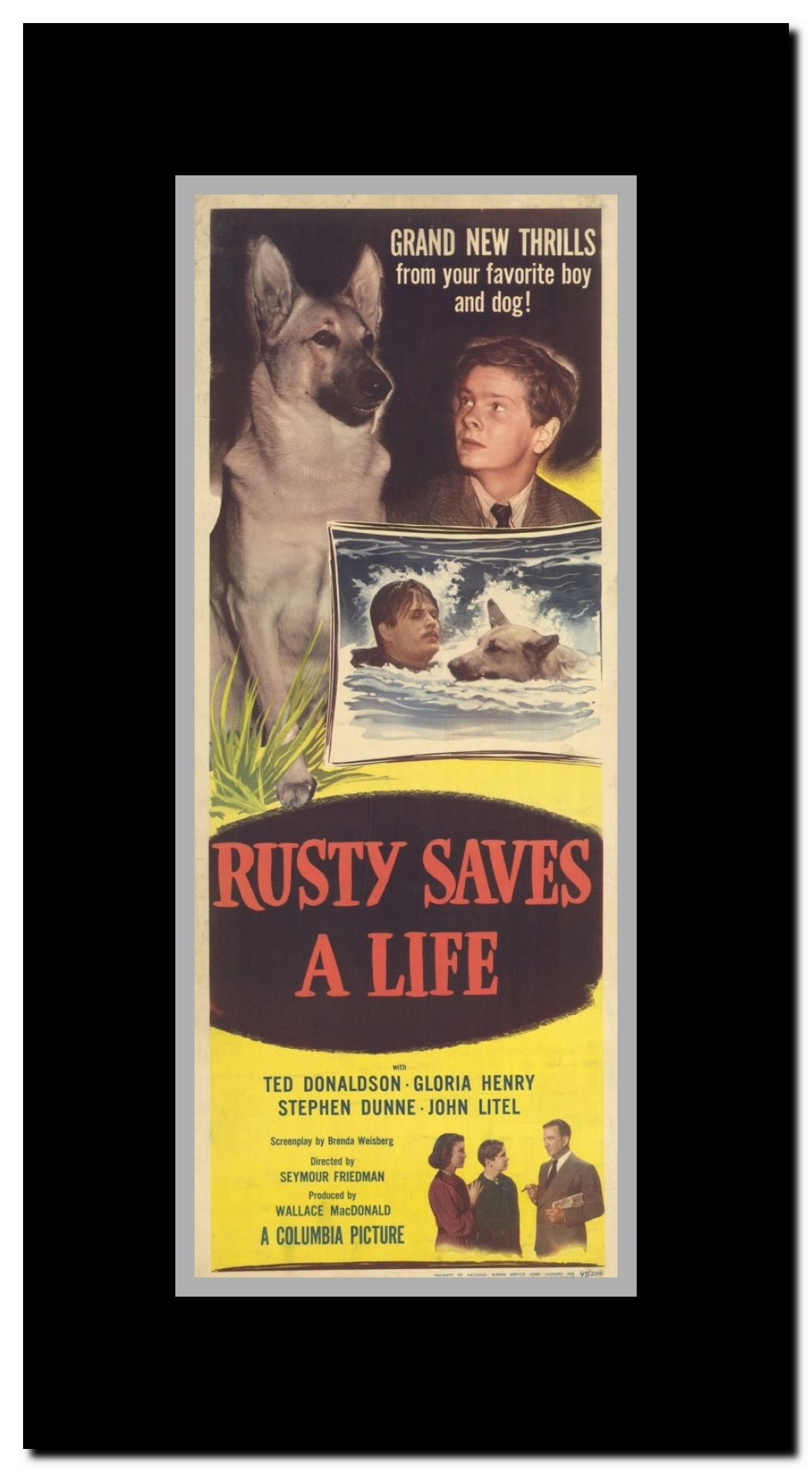 Rusty Saves a Life Framed Movie Poster