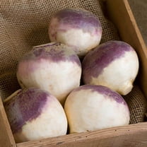 Rutabaga Seeds - Helenor Organic Variety Rutabaga Seeds - Non-GMO - 50 Seeds
