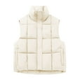 thumbnail image 1 of Rutainlusire Womens Puffer Vest Womens Solid Color Trendy Puffer Vest Women's Casual Colored Sleeveless Capless Stand-collar, 1 of 5