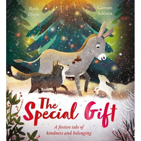 Ruth Doyle The Special Gift (Paperback)