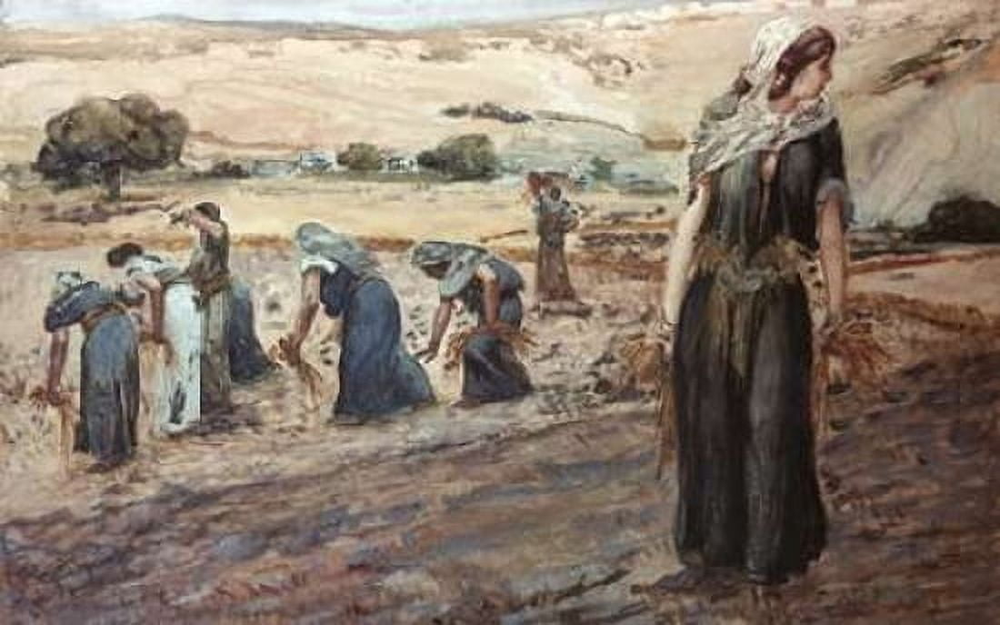 Ruth Gleaning Canvas Art - James Jacques Tissot (12 x 18)
