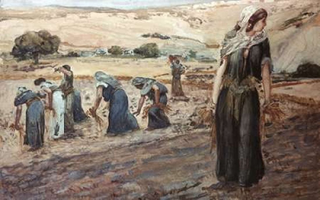Ruth Gleaning Canvas Art - James Jacques Tissot (24 x 36)