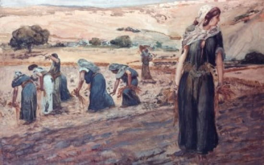 Ruth Gleaning James Tissot (1836-1902 French) Jewish Museum New York USA Canvas Art - James Tissot (18 x 24)