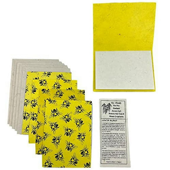 Ruth + Wilde Nepal Greeting Card and Envelope Set: Bee Notecards, Handmade Lokta Paper