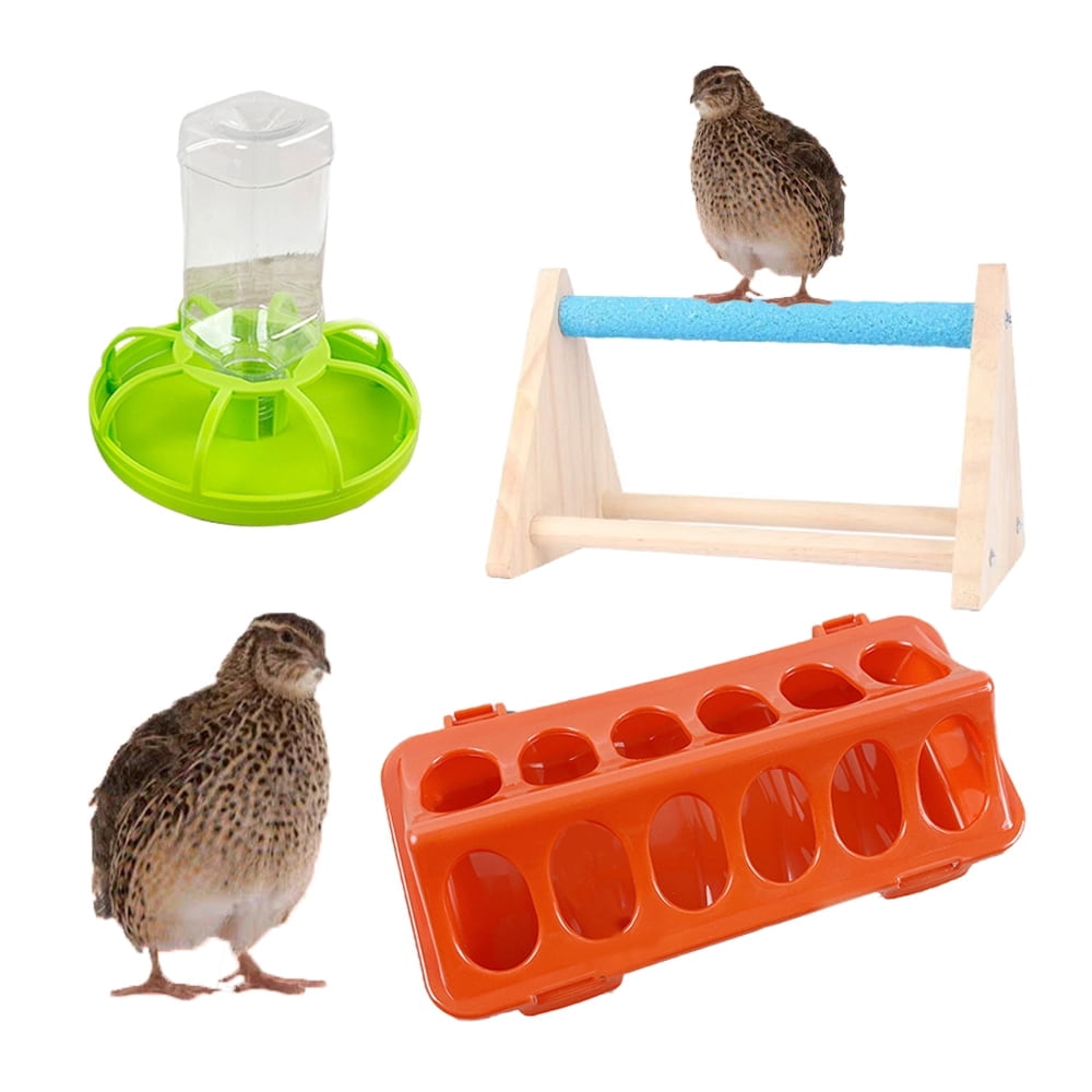 Rutin Feeder and Water Dispenser Chicken Stand with Feeding Trough & Water Dispenser, 180ml Bottle