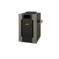 thumbnail image 1 of Ruud 014995 Digital Polymer Pool & Spa Heater 266000 BTU No. 51 Burner Cupro-Nickel Tubing - Natural, 1 of 1