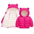 thumbnail image 1 of Ruyang Baby Fleece Lined Puffer Jacket Toddler Boys Girls Cute Bear Hooded Coat Winter Padded Warm Zip Up Quilted Outwear, 1 of 4