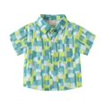 thumbnail image 1 of Ruyang Boy's Hawaiian T-Shirts Button Down Short Sleeve Tees Toddler Beach Printed Shirts with Pocket Casual Summer Clothes, 1 of 3