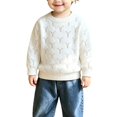 thumbnail image 1 of Ruyang Boys Girls Knit Sweater Loose Long Sleeve Pullover Breathable Casual Basic Tops Kids Crew Neck Fall Warm Outfits, 1 of 5