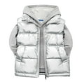 thumbnail image 1 of Ruyang Boys Puffer Vest Kids Girls Sleeveless Hooded Down Jackets Winter Warm Lightweight Zip Up Mock Neck Puffy Waistcoat, 1 of 4